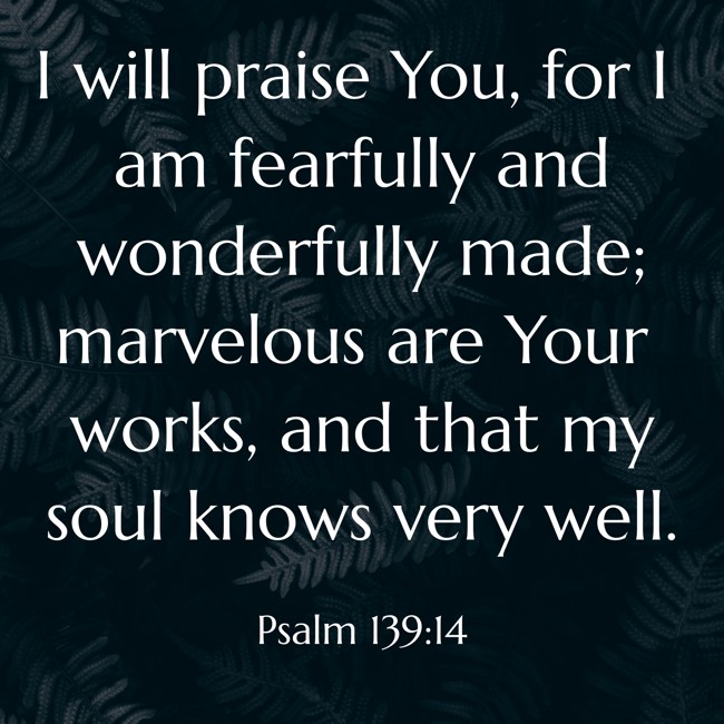 I will praise You, for I am fearfully and wonderfully made; marvelous are Your works, and that my soul knows very well. - Psalm 139:14