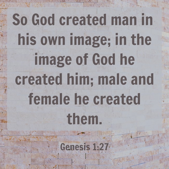 So God created man in his own image; in the image of God he created him; male and female he created them. - Genesis 1:27