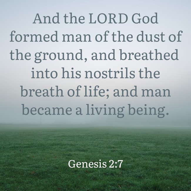 And the LORD God formed man of the dust of the ground, and breathed into his nostrils the breath of life; and man became a living being. - Genesis 2:7