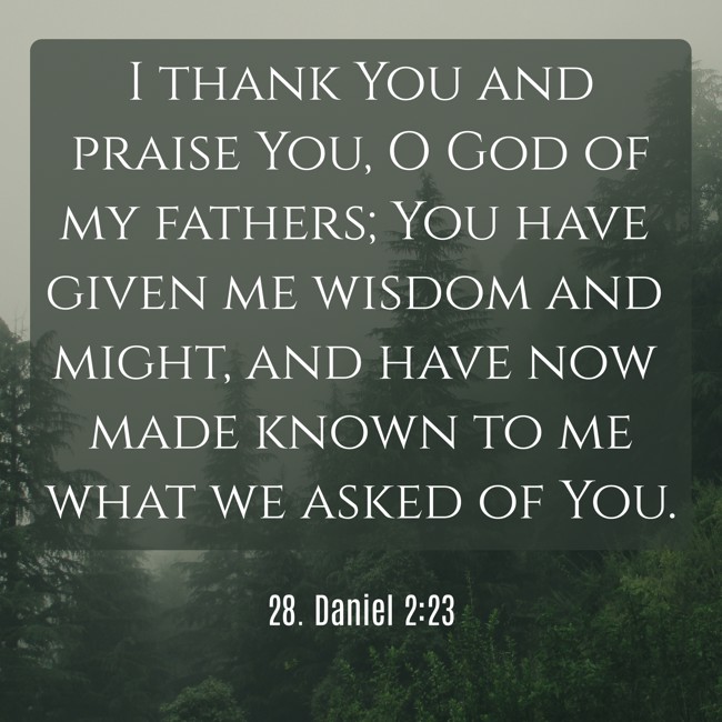 I thank You and praise You, O God of my fathers; You have given me wisdom and might, and have now made known to me what we asked of You. - 28. Daniel 2:23
