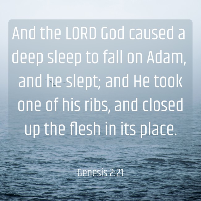 And the LORD God caused a deep sleep to fall on Adam, and he slept; and He took one of his ribs, and closed up the flesh in its place. - Genesis 2:21