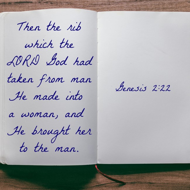 Then the rib which the LORD God had taken from man He made into a woman, and He brought her to the man. - Genesis 2:22