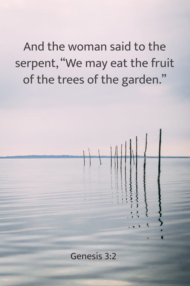 And the woman said to the serpent, “We may eat the fruit of the trees of the garden.” - Genesis 3:2