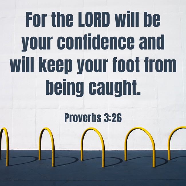 For the LORD will be your confidence and will keep your foot from being caught. - Proverbs 3:26