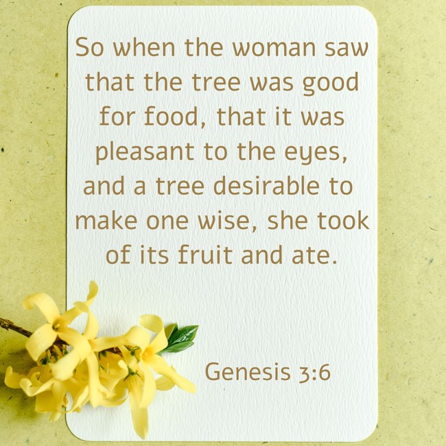 So when the woman saw that the tree was good for food, that it was pleasant to the eyes, and a tree desirable to make one wise, she took of its fruit and ate. - Genesis 3:6