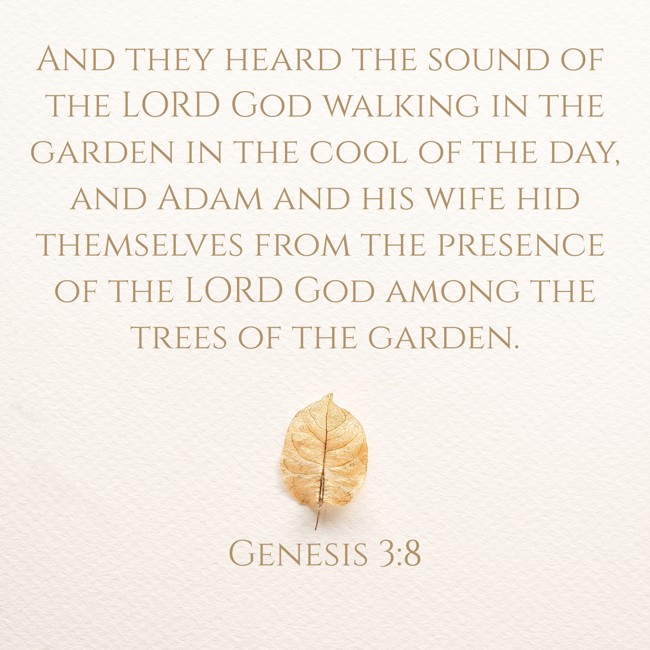 And they heard the sound of the LORD God walking in the garden in the cool of the day, and Adam and his wife hid themselves from the presence of the LORD God among the trees of the garden. - Genesis 3:8