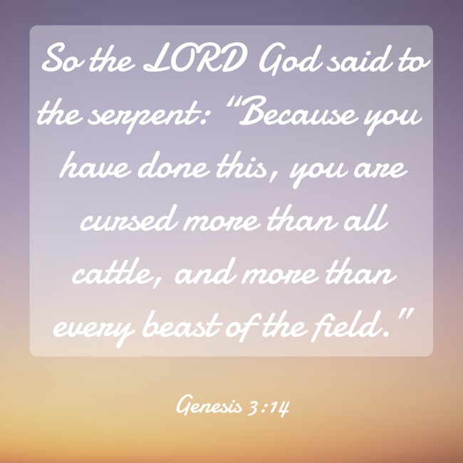So the LORD God said to the serpent: “Because you have done this, you are cursed more than all cattle, and more than every beast of the field.” - Genesis 3:14