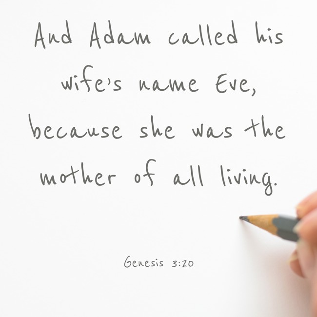 And Adam called his wife’s name Eve, because she was the mother of all living. - Genesis 3:20