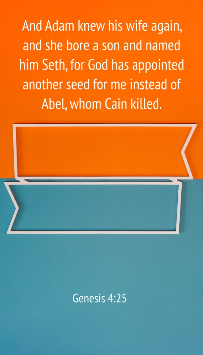 And Adam knew his wife again, and she bore a son and named him Seth, for God has appointed another seed for me instead of Abel, whom Cain killed. - Genesis 4:25
