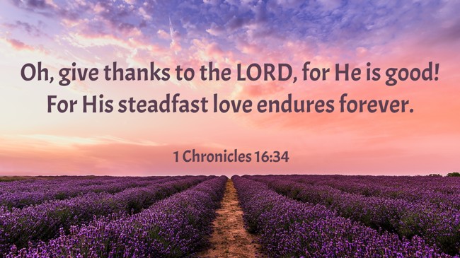 Oh, give thanks to the LORD, for He is good! For His steadfast love endures forever. - 1 Chronicles 16:34