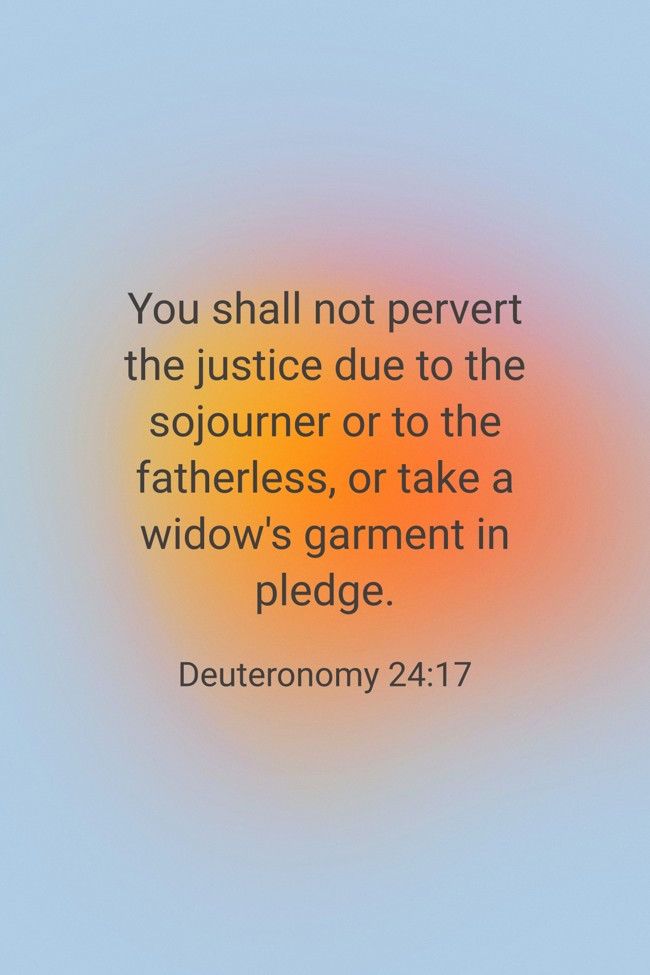You shall not pervert the justice due to the sojourner or to the fatherless, or take a widow's garment in pledge. - Deuteronomy 24:17