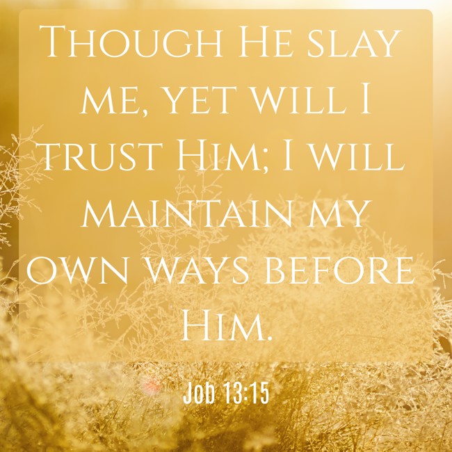 Though He slay me, yet will I trust Him; I will maintain my own ways before Him. - Job 13:15