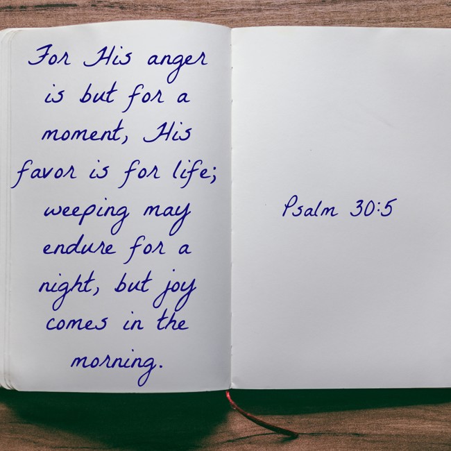 For His anger is but for a moment, His favor is for life; weeping may endure for a night, but joy comes in the morning. - Psalm 30:5