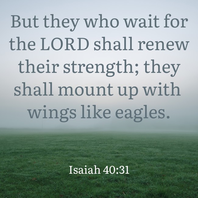 But they who wait for the LORD shall renew their strength; they shall mount up with wings like eagles. - Isaiah 40:31