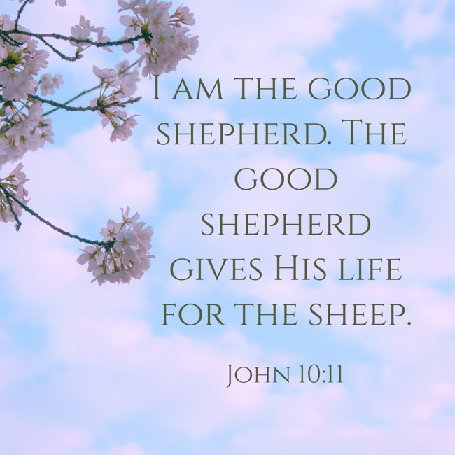 I am the good shepherd. The good shepherd gives His life for the sheep. - John 10:11