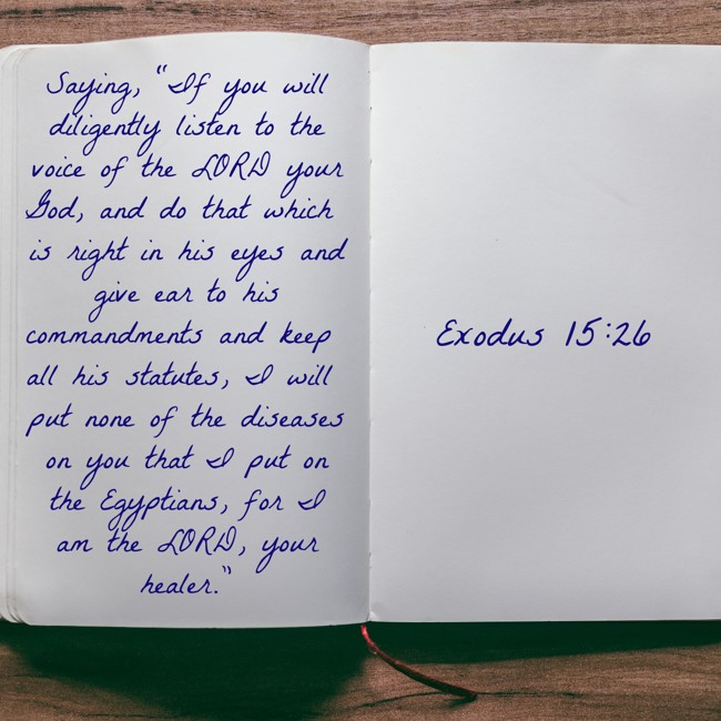 Saying, “If you will diligently listen to the voice of the LORD your God, and do that which is right in his eyes and give ear to his commandments and keep all his statutes, I will put none of the diseases on you that I put on the Egyptians, for I am the LORD, your healer.” - Exodus 15:26