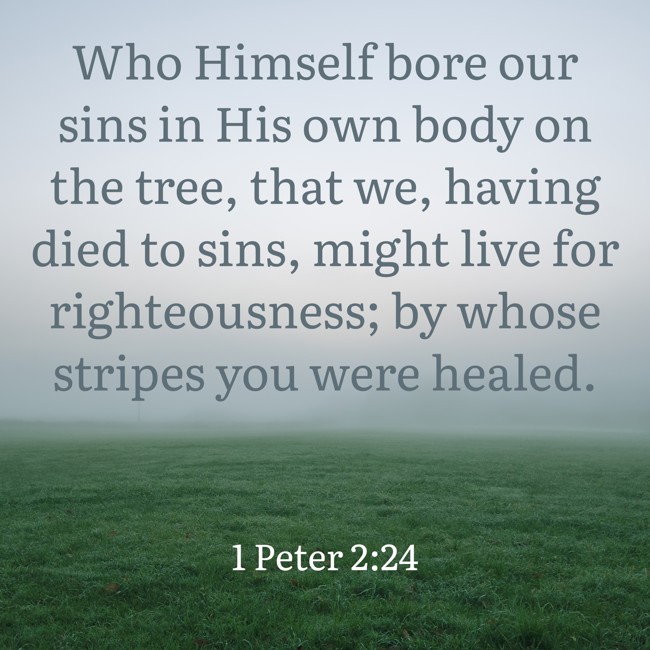 Who Himself bore our sins in His own body on the tree, that we, having died to sins, might live for righteousness; by whose stripes you were healed. - 1 Peter 2:24