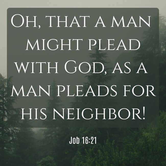 Oh, that a man might plead with God, as a man pleads for his neighbor! - Job 16:21