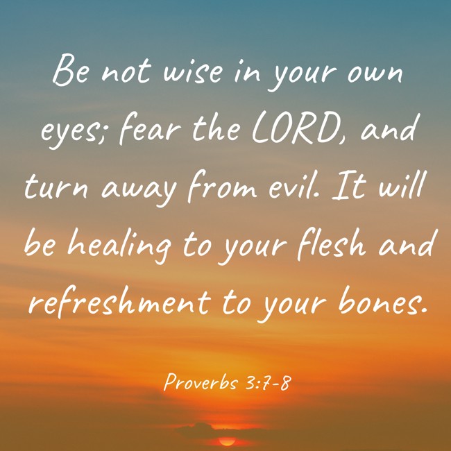 Be not wise in your own eyes; fear the LORD, and turn away from evil. It will be healing to your flesh and refreshment to your bones. - Proverbs 3:7-8