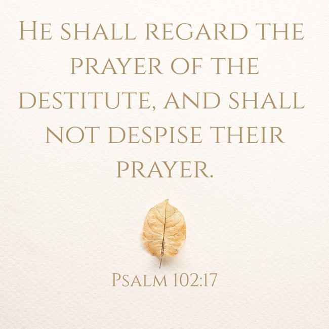 He shall regard the prayer of the destitute, and shall not despise their prayer. - Psalm 102:17