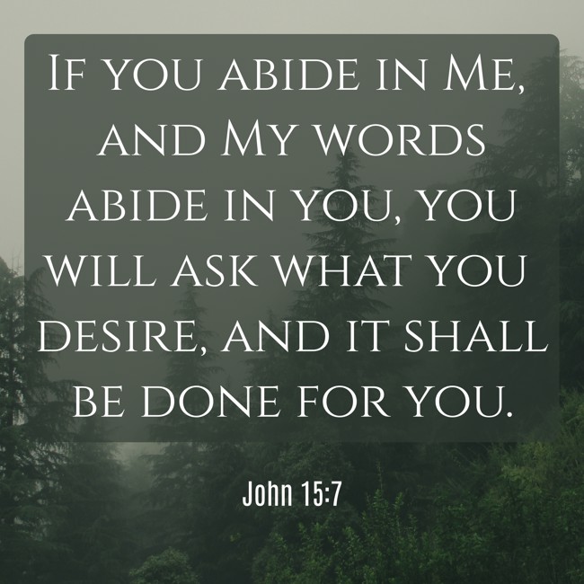 If you abide in Me, and My words abide in you, you will ask what you desire, and it shall be done for you. - John 15:7