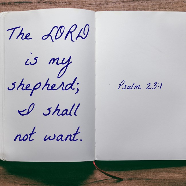The LORD is my shepherd; I shall not want. - Psalm 23:1