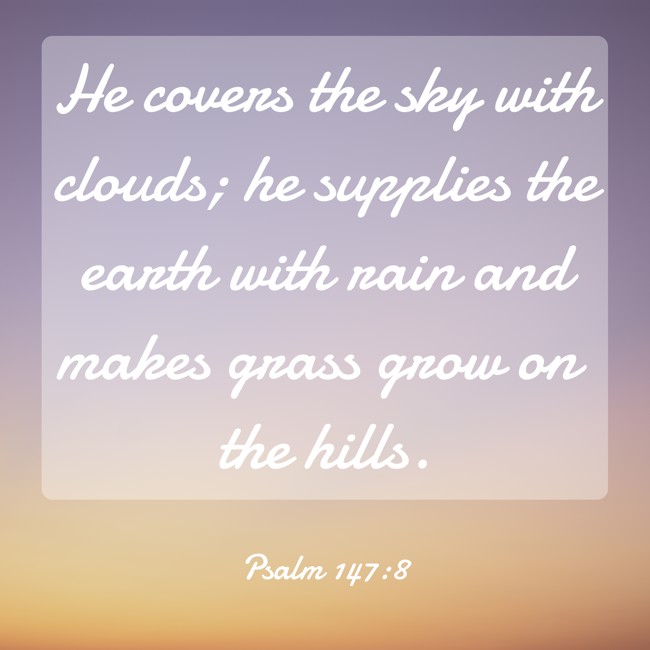 He covers the sky with clouds; he supplies the earth with rain and makes grass grow on the hills. - Psalm 147:8