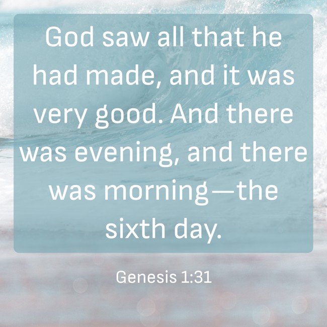 God saw all that he had made, and it was very good. And there was evening, and there was morning—the sixth day. - Genesis 1:31