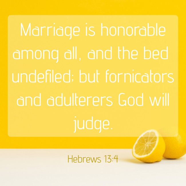 Marriage is honorable among all, and the bed undefiled; but fornicators and adulterers God will judge. - Hebrews 13:4