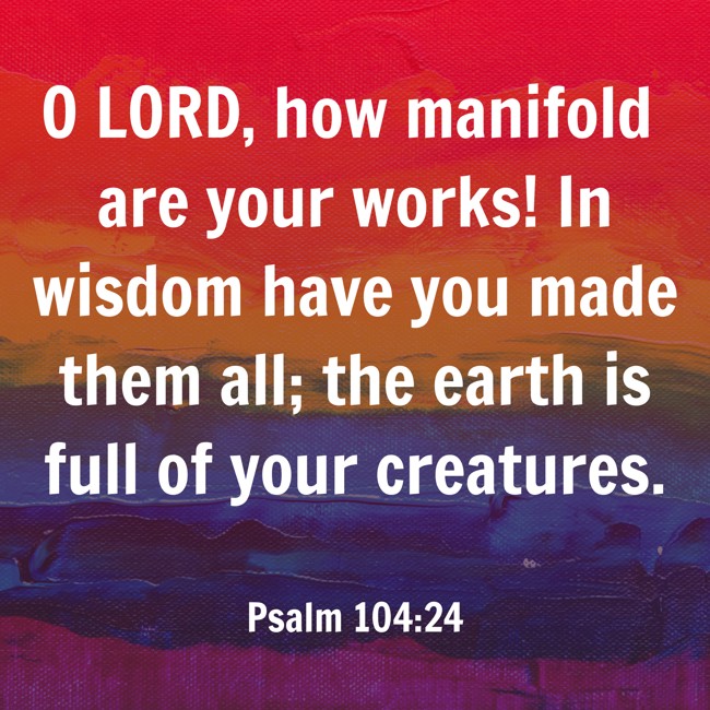 O LORD, how manifold are your works! In wisdom have you made them all; the earth is full of your creatures. - Psalm 104:24