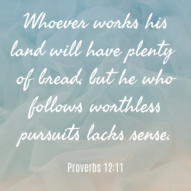 Whoever works his land will have plenty of bread, but he who follows worthless pursuits lacks sense. - Proverbs 12:11