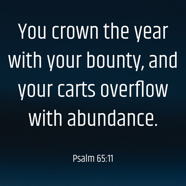 You crown the year with your bounty, and your carts overflow with abundance. - Psalm 65:11