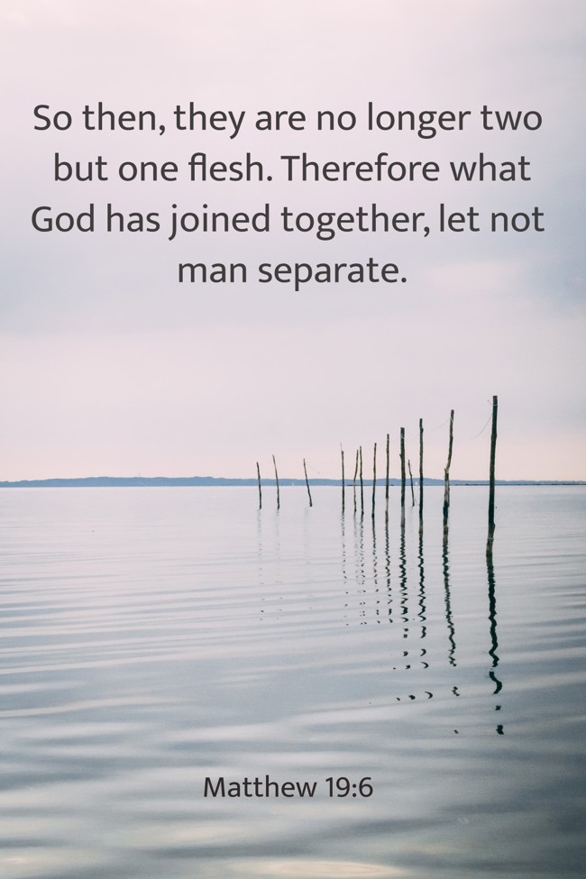 So then, they are no longer two but one flesh. Therefore what God has joined together, let not man separate. - Matthew 19:6