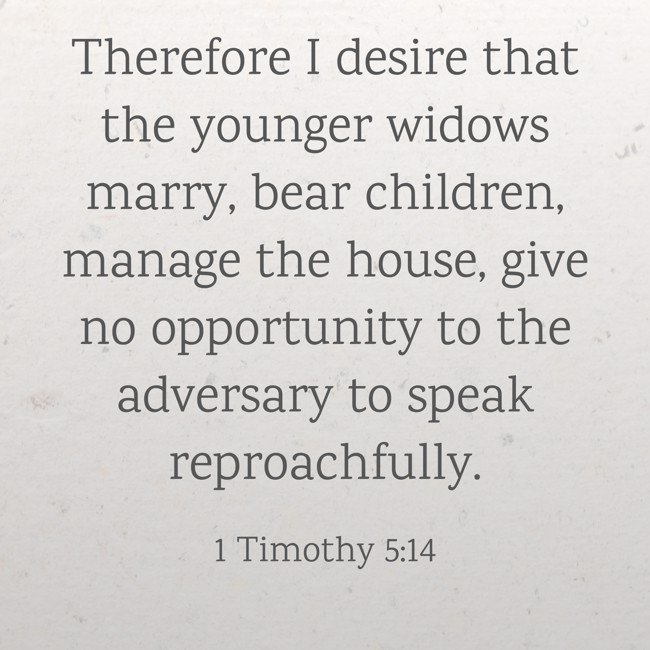 Therefore I desire that the younger widows marry, bear children, manage the house, give no opportunity to the adversary to speak reproachfully. - 1 Timothy 5:14
