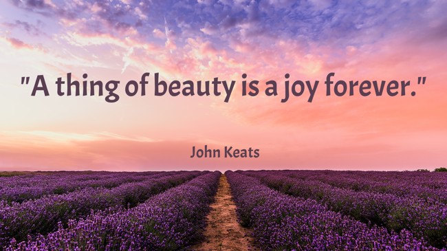 A thing of beauty is a joy forever. - John Keats