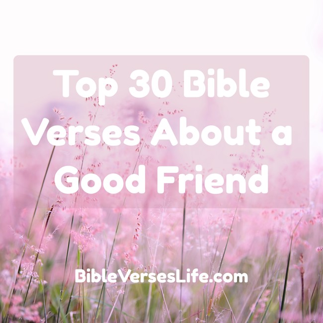 Top 30 Bible Verses About a Good Friend