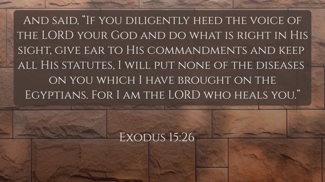 And said, “If you diligently heed the voice of the LORD your God and do what is right in His sight, give ear to His commandments and keep all His statutes, I will put none of the diseases on you which I have brought on the Egyptians. For I am the LORD who heals you.” - Exodus 15:26