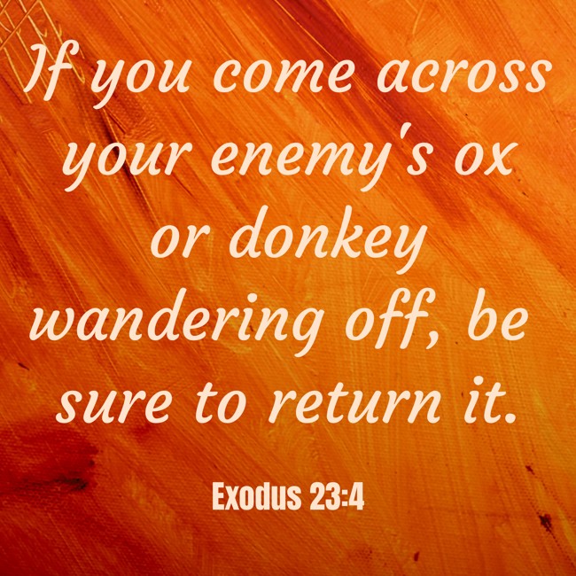 If you come across your enemy's ox or donkey wandering off, be sure to return it. - Exodus 23:4