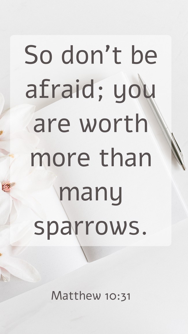 So don’t be afraid; you are worth more than many sparrows. - Matthew 10:31