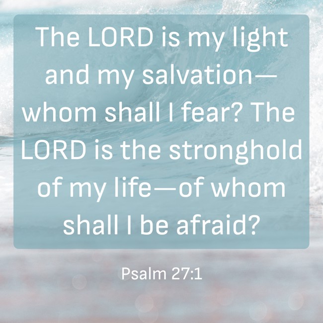 The LORD is my light and my salvation—whom shall I fear? The LORD is the stronghold of my life—of whom shall I be afraid? - Psalm 27:1