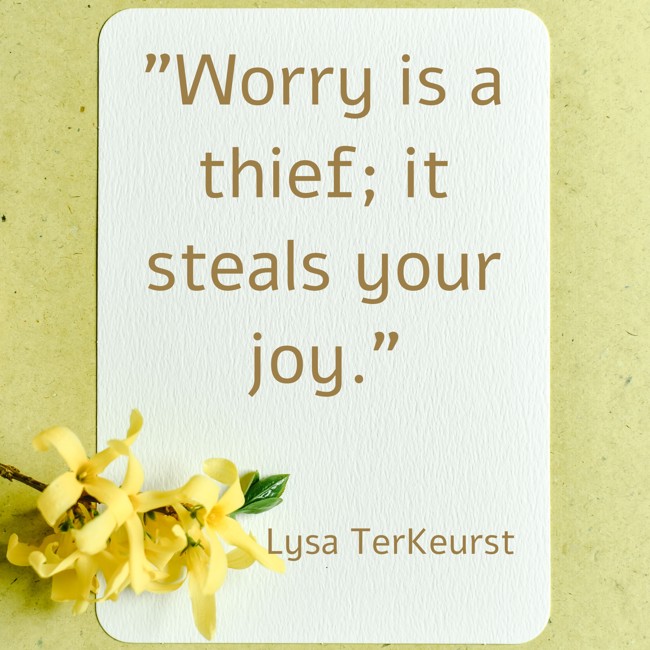Worry is a thief; it steals your joy. - Lysa TerKeurst