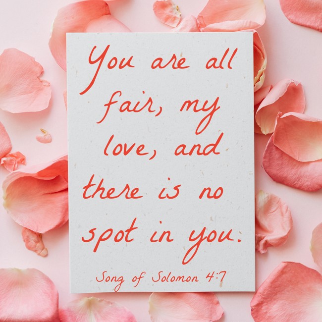  You are all fair, my love, and there is no spot in you.   - Song of Solomon 4:7 
