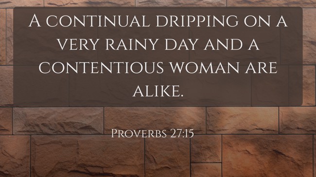  A continual dripping on a very rainy day and a contentious woman are alike.   - Proverbs 27:15 