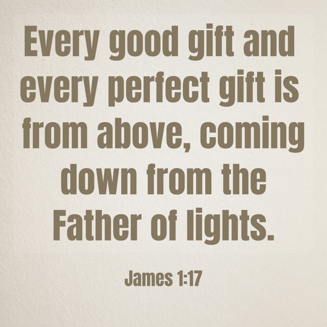 Every good gift and every perfect gift is from above, coming down from the Father of lights. - James 1:17