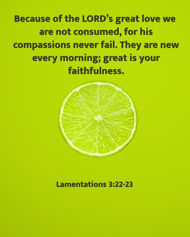 Because of the LORD’s great love we are not consumed, for his compassions never fail. They are new every morning; great is your faithfulness. - Lamentations 3:22-23