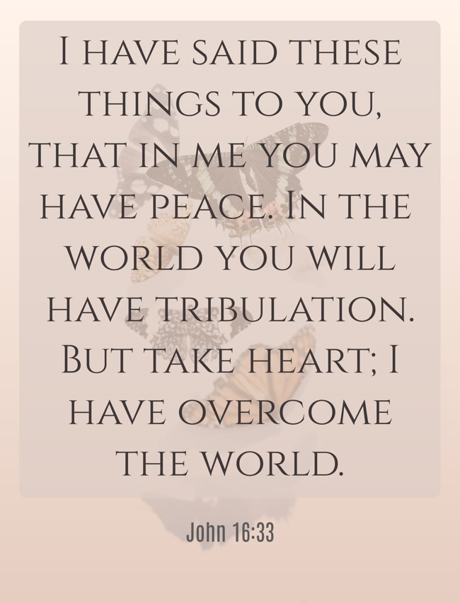  I have said these things to you, that in me you may have peace. In the world you will have tribulation. But take heart; I have overcome the world.   - John 16:33 
