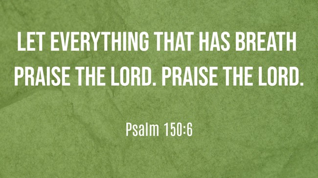 Let everything that has breath praise the LORD. Praise the LORD. - Psalm 150:6