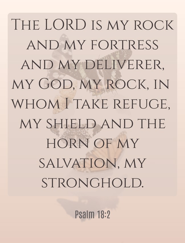  The LORD is my rock and my fortress and my deliverer, my God, my rock, in whom I take refuge, my shield and the horn of my salvation, my stronghold.   - Psalm 18:2 
