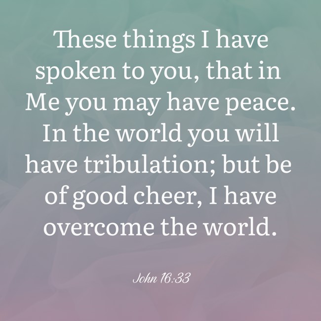 These things I have spoken to you, that in Me you may have peace. In the world you will have tribulation; but be of good cheer, I have overcome the world. - John 16:33