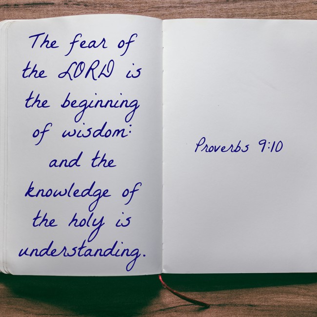  The fear of the LORD is the beginning of wisdom: and the knowledge of the holy is understanding.   - Proverbs 9:10 
